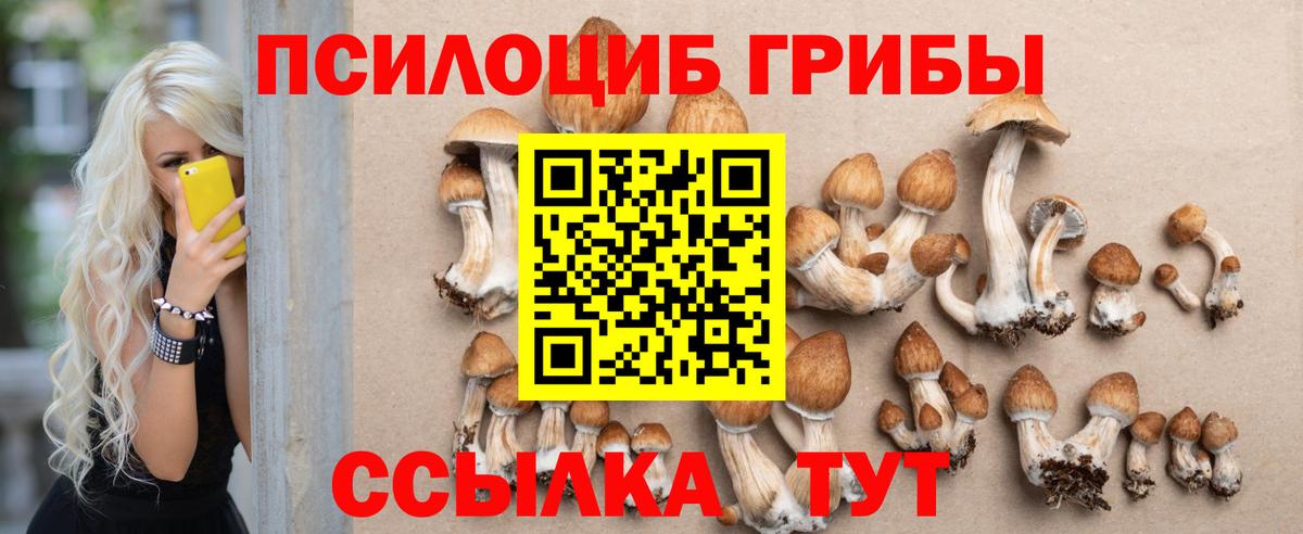 Азнакаево  Галлюциногенные грибы Magic Shrooms  Псилоцибиновые грибы Psilocybine cubensis  Вход с VPN 