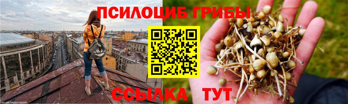 Псилоцибиновые грибы мухоморы Азнакаево